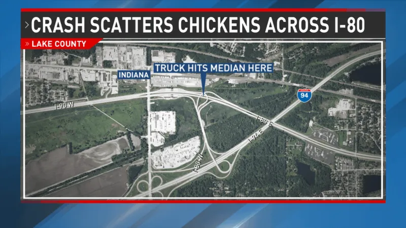 Crash scatters chickens across I-80 in Lake County