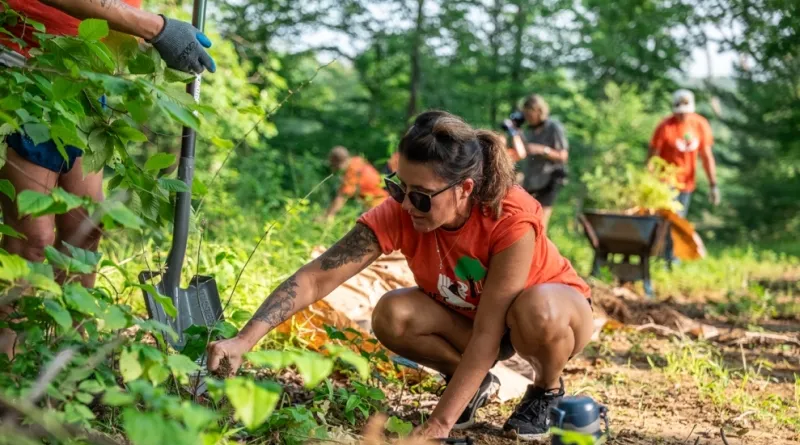 Toyota employees devote volunteer time for community projects