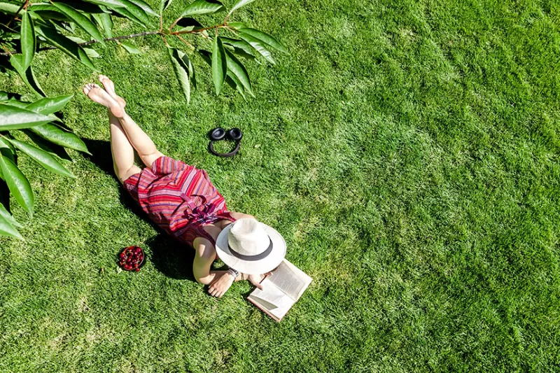 What We're Reading This Summer