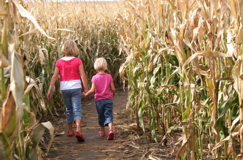 Indiana's Largest Corn Maze Just Revealed its Amazing 2026 Design