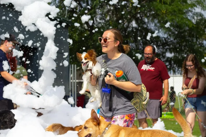 Only $50 to Adopt! Bark Week Is Back With a Paw-some Party