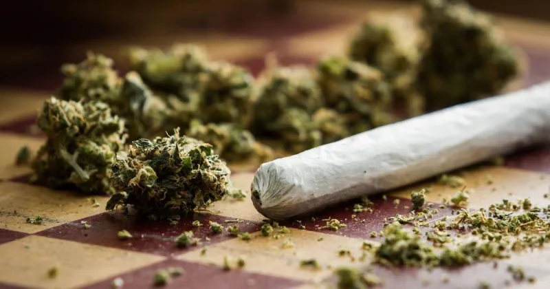 Key takeaways for marijuana arrests in Northwest Indiana