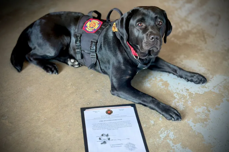 Evansville Fire Department Expands Fire Investigation Team and Officially Swears In K-9 Indie