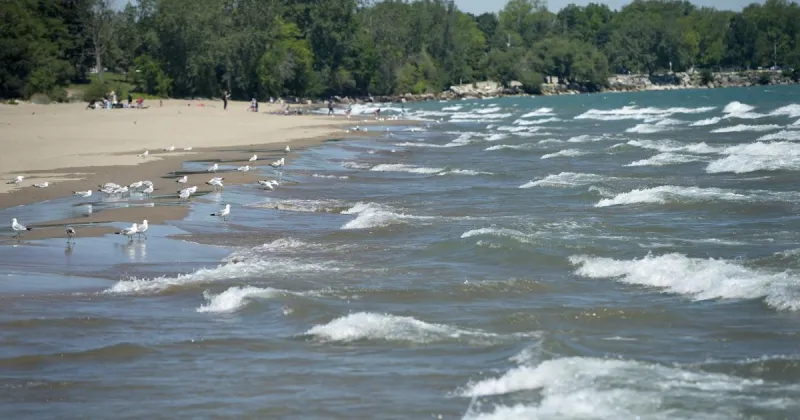 Lake Michigan swimmer dies after attempted rescue
