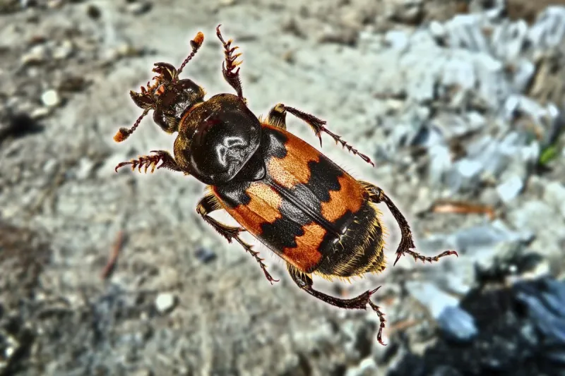 3 Kentucky Animals That Look Surprisingly Exotic