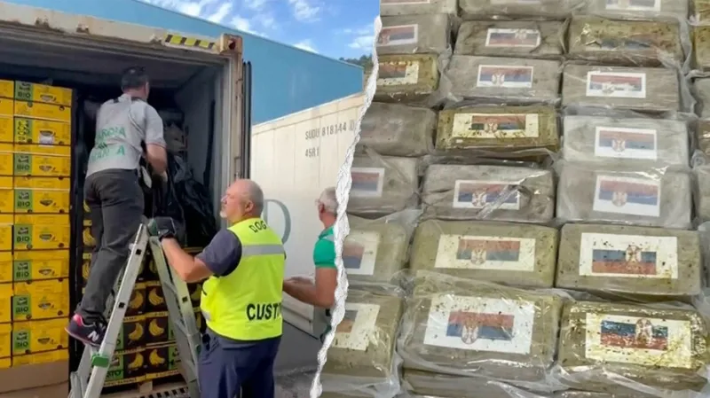$290M cocaine haul found 'skillfully concealed' in massive banana shipment