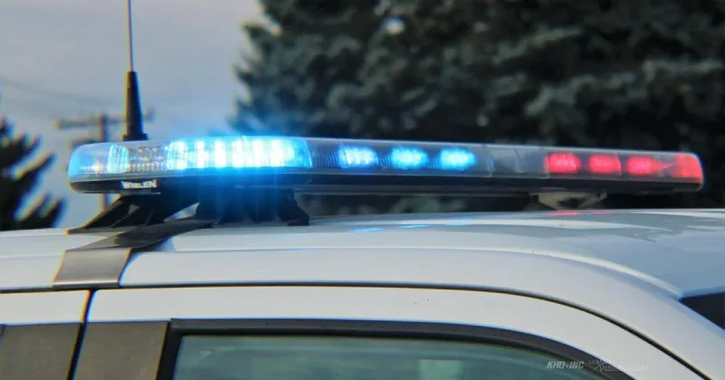 40 dogs, additional animals seized from Eureka property