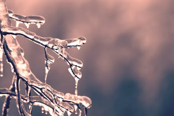 Short Supplies of Salt Possible In Case of Bad Winter