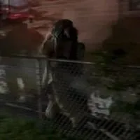 Gary firefighters rescue unconscious man from burning apartment building
