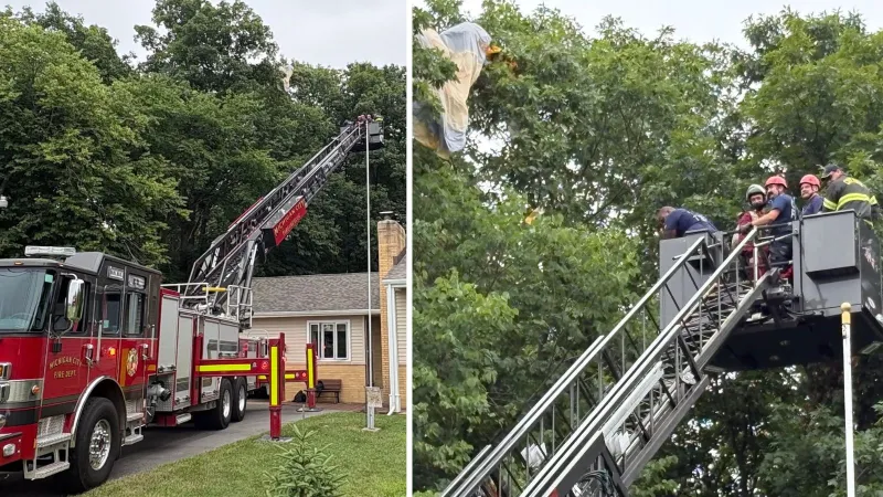 Skydiver rescued after landing in Michigan City homeowner's tree