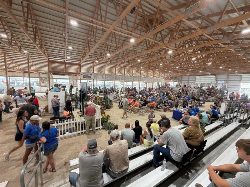 What an incredible day at the LaPorte County 4-H Livestock Auction on July 17th!