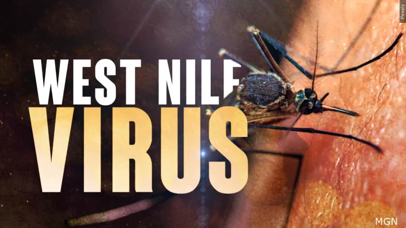 West Nile Virus found in St. Joseph County, health department gives tips to protect yourself