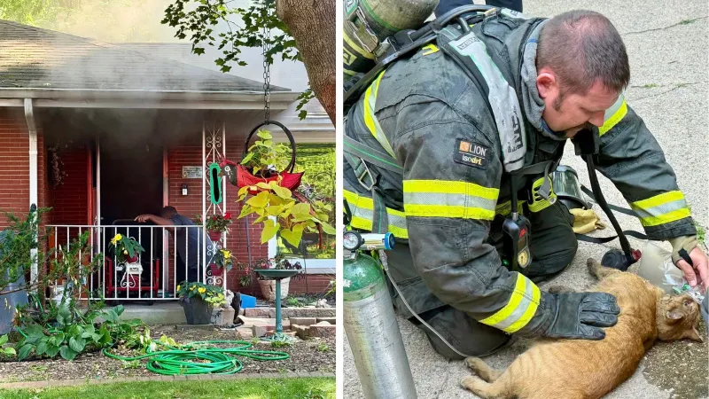 Firefighters rescue cats from house fire Friday, cause of fire under investigation