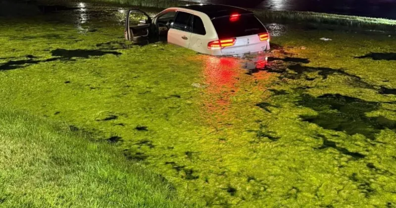 Driver rescued from retention pond in Winfield by first responders