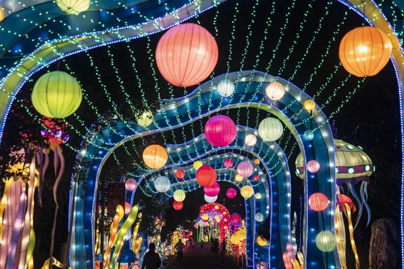 Listen to Win Tickets to Wild Summer Lights