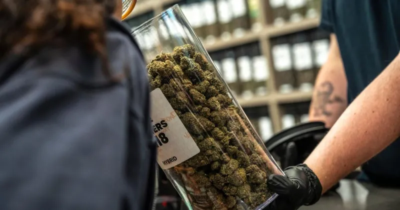 Nervous driver leads Northwest Indiana police to discover 1.5 pounds of dispensary pot