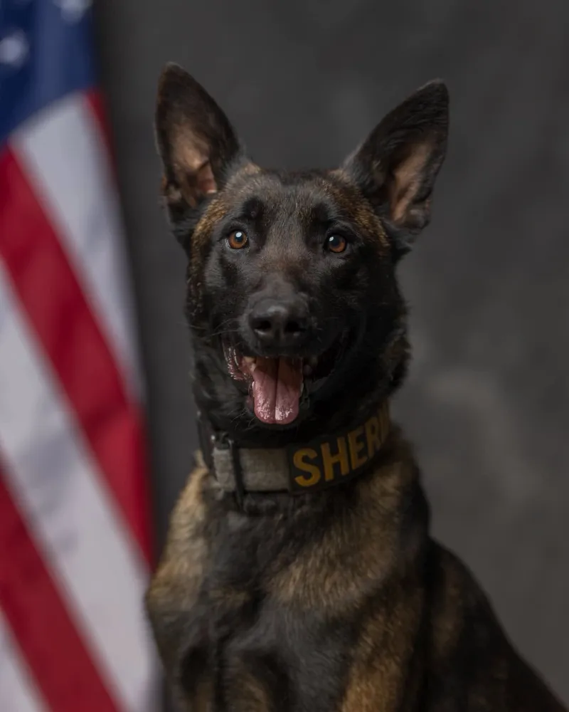 La Porte County Sheriff's Office announces retirement of K9 Bosco