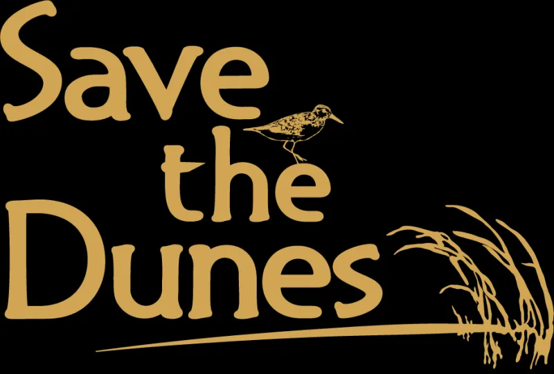 Save the Dunes Receives National Park Foundation Innovation Grant to Reduce Congestion and Improve Visitor Experience at Indiana Dunes National Park
