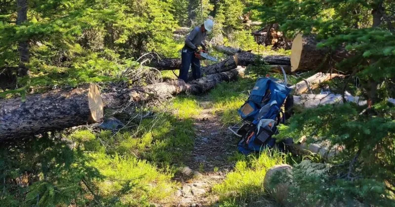Helena volunteers clear storm-hit Elkhorn trails for recreation access