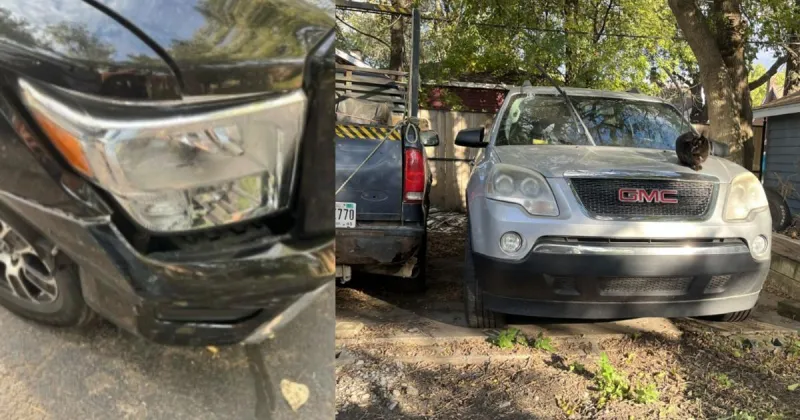 Court documents raise questions about what caused ICE agent crash with Region man