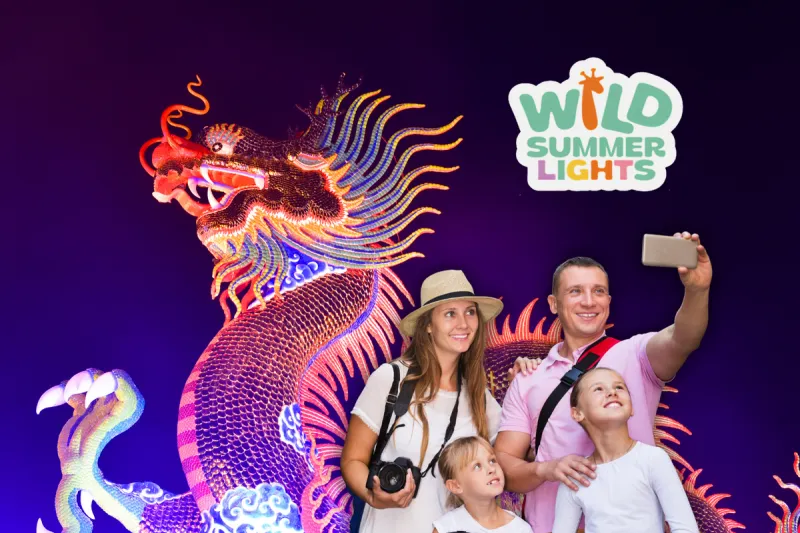 Wild Summer Lights at Mesker Park Zoo in Evansville