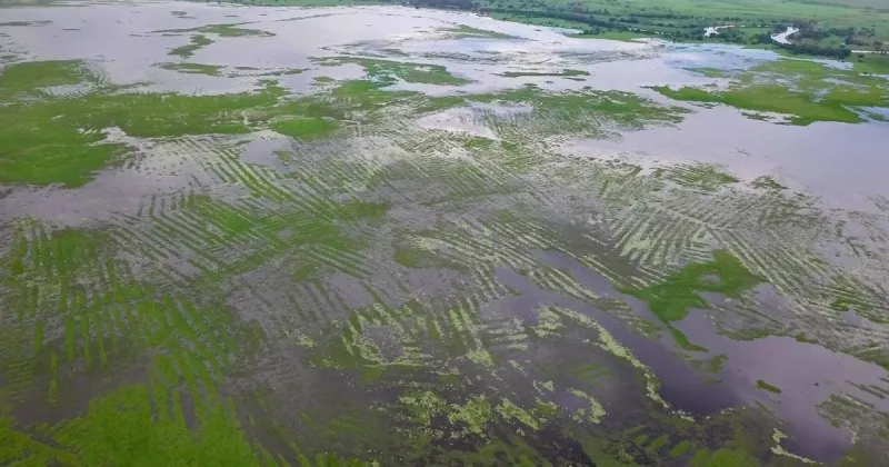 Research reveals how ancient farmers built an 'engineering wonder'