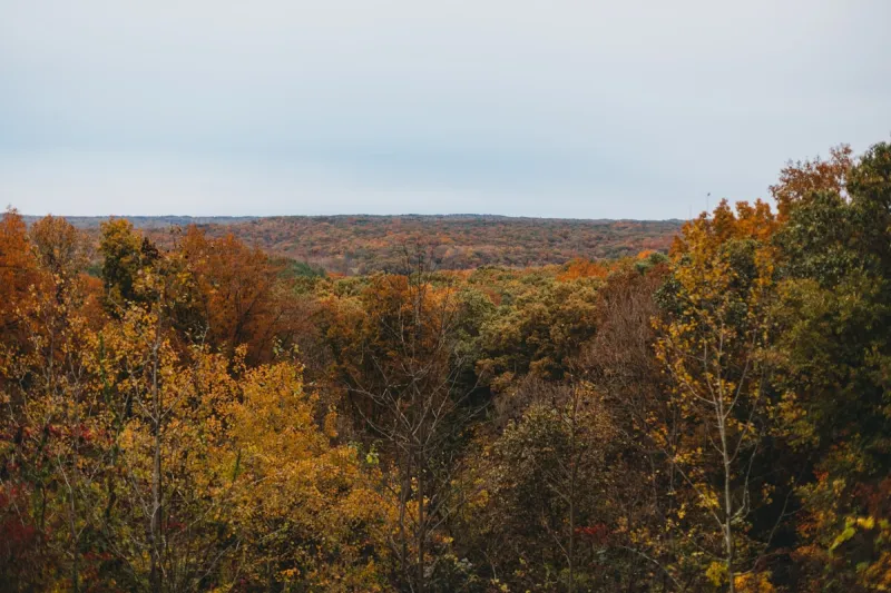Brown County Needs Your Votes for America's Top Fall Destination