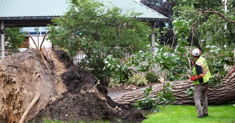 Some Region schools cancel Thursday return after storms forced first day cancellations