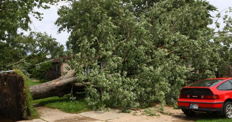 Rainfall, storms to continue through the weekend as Region recovers from damage