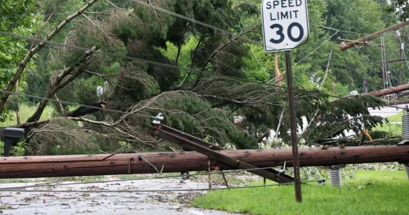 Griffith urges residents to verify contractor licenses for tree removals after storms