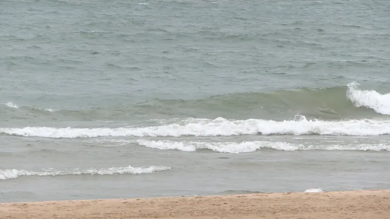 Juvenile drowns in Lake Michigan near Lake Shore Drive
