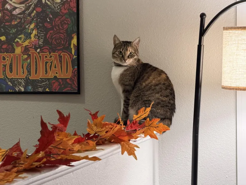 I Made One Change at Home and Apparently It's Way Too Soon
