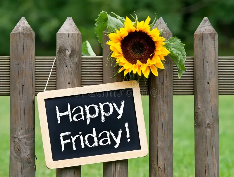 Here is your Friday forecast-enjoy the weekend