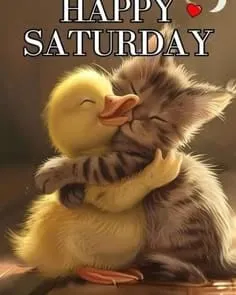 Here is your Saturday forecast