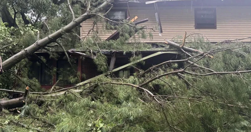 After tree crashes through family home, artist selling T-shirts to fund repairs