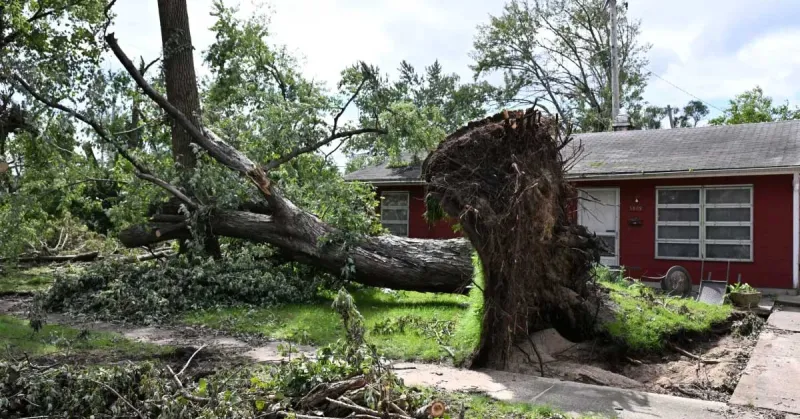 Business community unites to help storm recovery efforts