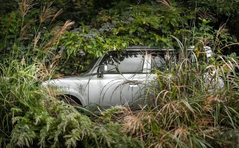 Old Cars Were Once Used as Riprap in Kentucky