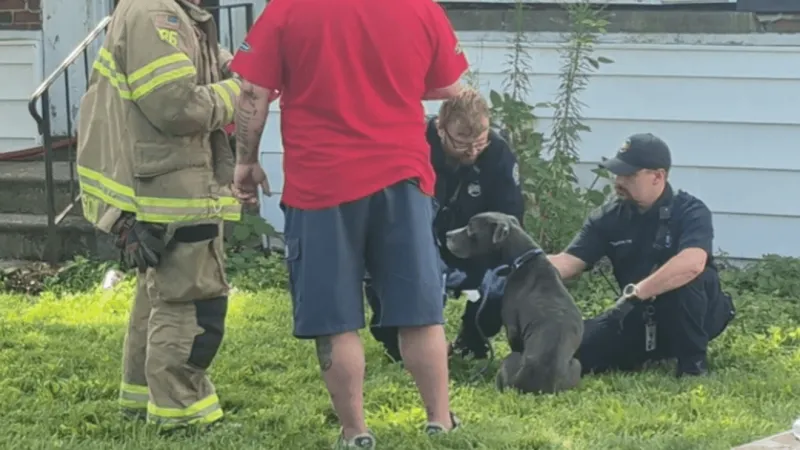 Emergency responders perform CPR; save the life of dog after house fire