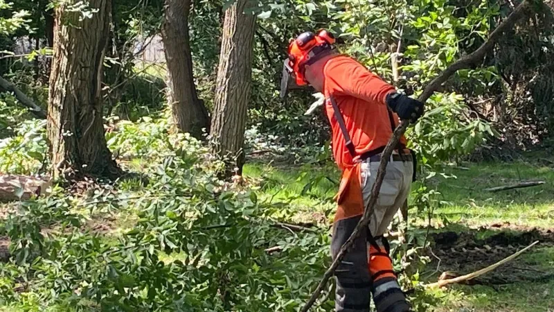 Gov. Braun, FEMA visits cities hit hard by severe storms