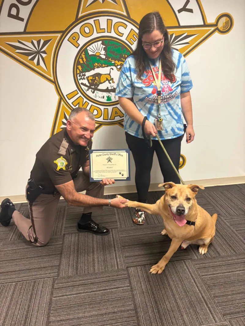 Porter County Animal Shelter dog Rocky gets Special Deputy title, up for adoption