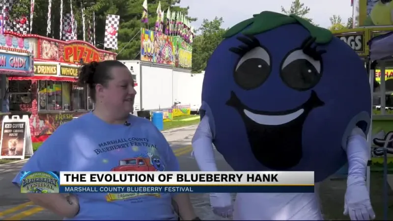 The evolution of Blueberry Hank