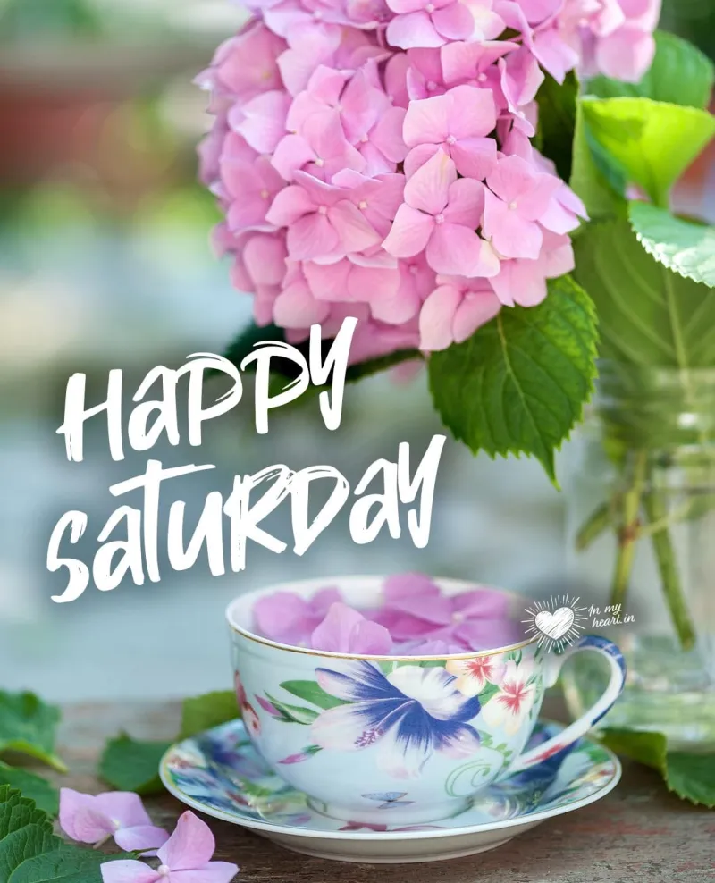 Here is your Saturday forecast