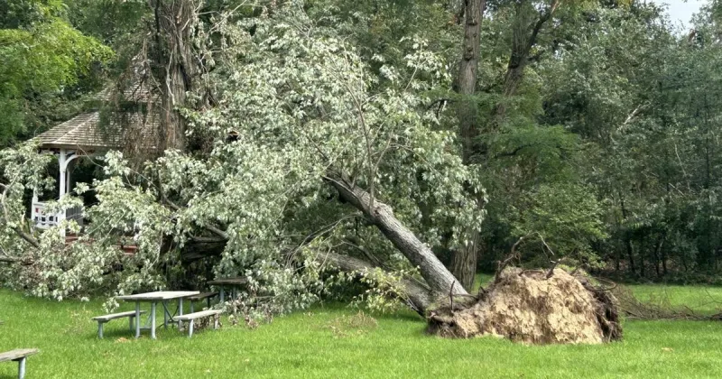 Lengthy power outages after 2011 storms led ComEd to speed up restorations