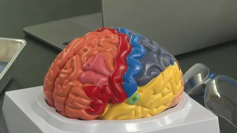Alzheimer's research leads to new treatments