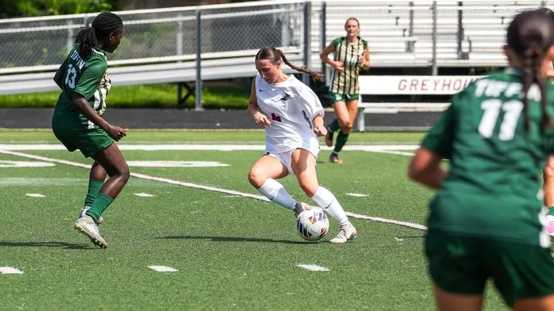 Hounds Fall on Road to Quincy