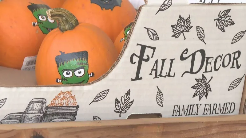 Pumpkin season takes shape for fall festivities
