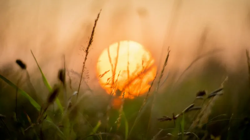 Was Summer 2026 the Hottest Ever in Indiana and Kentucky?