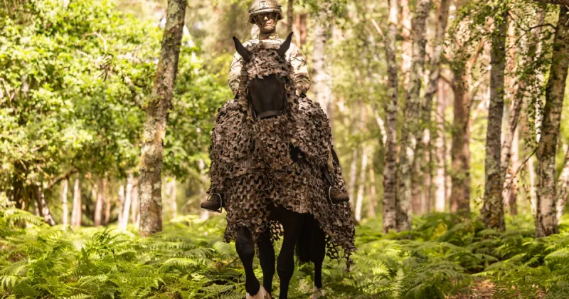 Camouflaged horses for modern warfare?