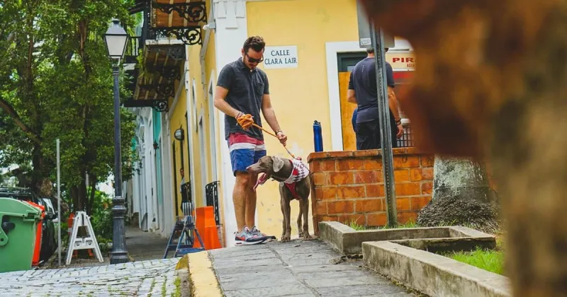 Nearly half of Americans don't want pets in public places