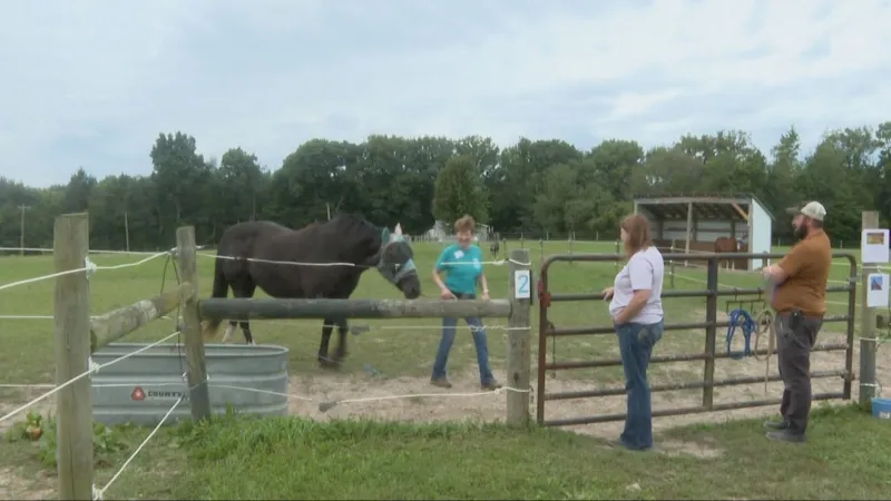 Therapeutic Equestrian Center in Buchanan celebrates 20 years